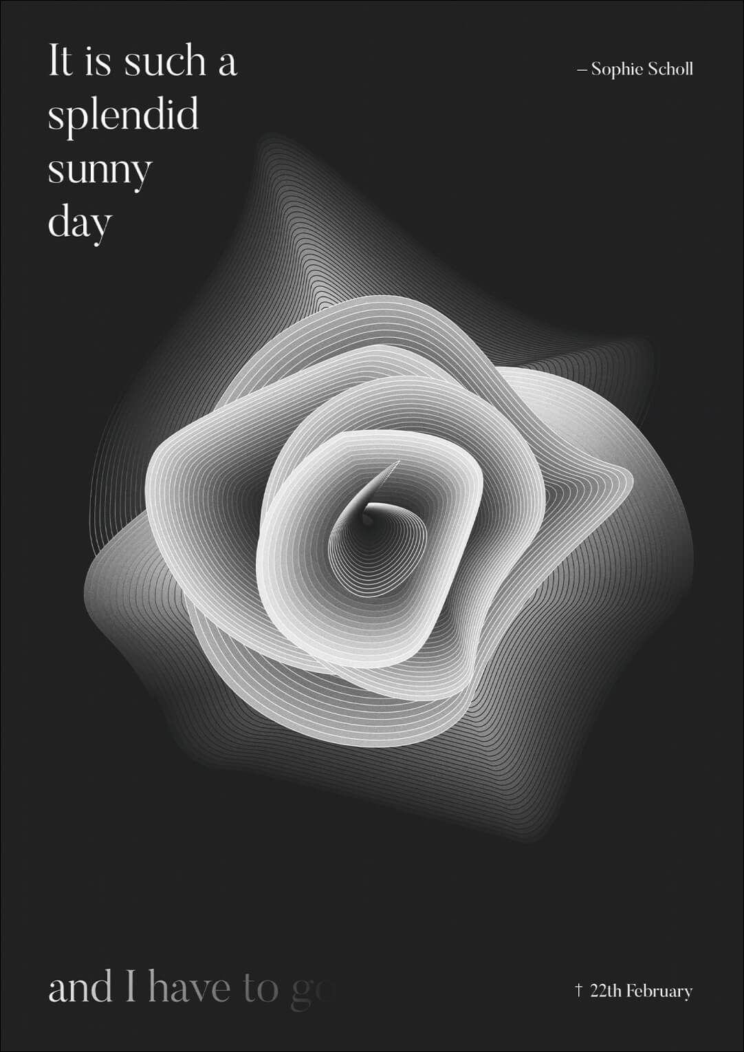 White-rose.jpg White-rose