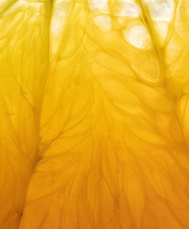 Citrus-texture.jpg Citrus-texture